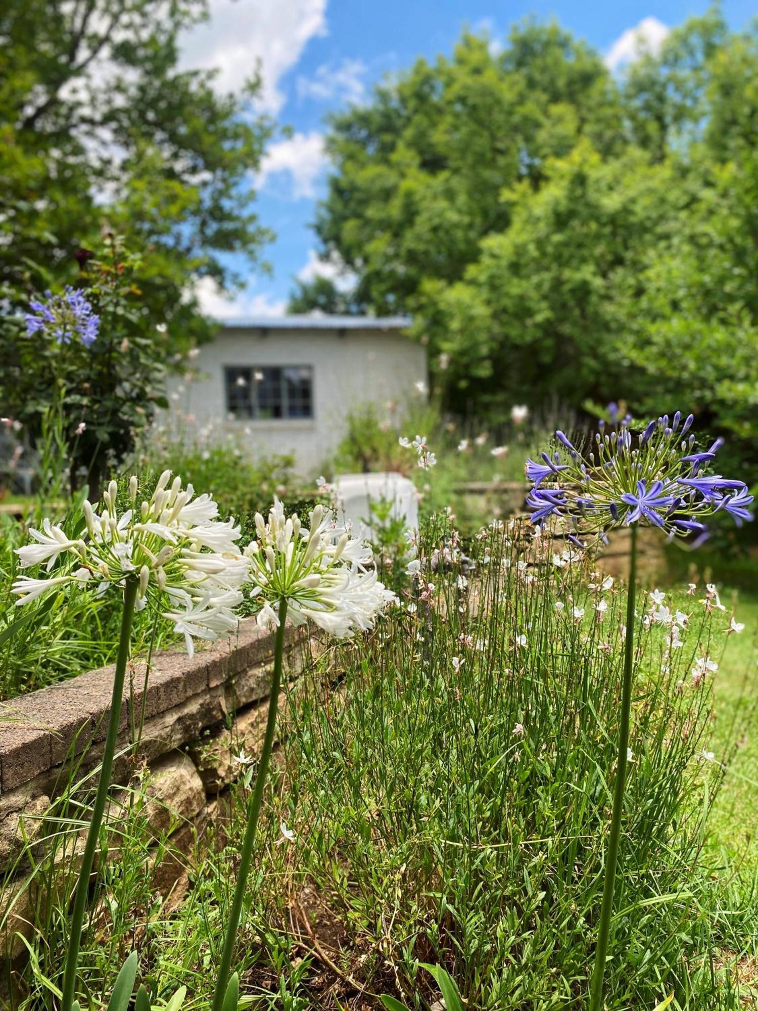 Collett House And Lavender Cottage Clarens Esterno foto
