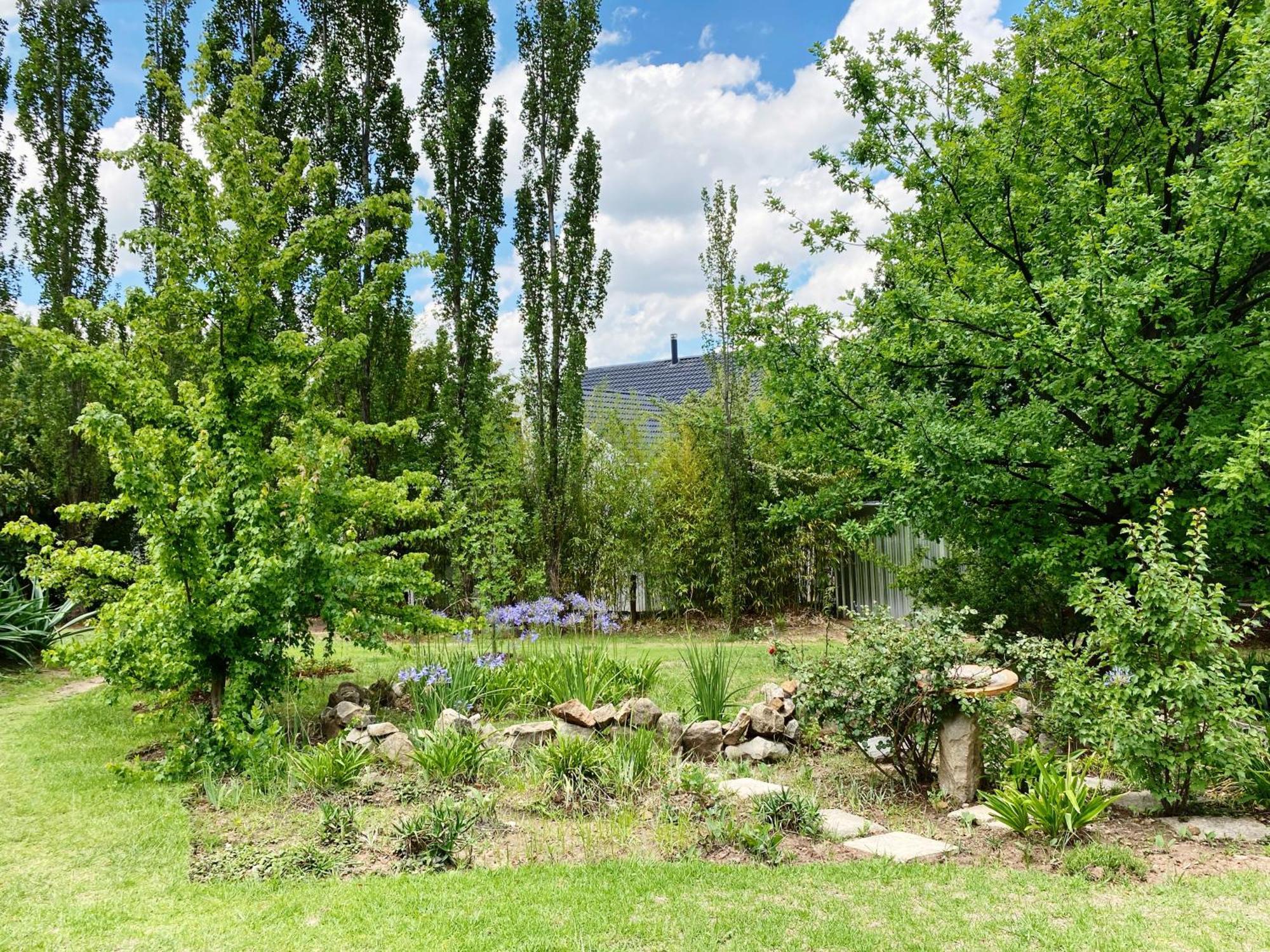 Collett House And Lavender Cottage Clarens Esterno foto