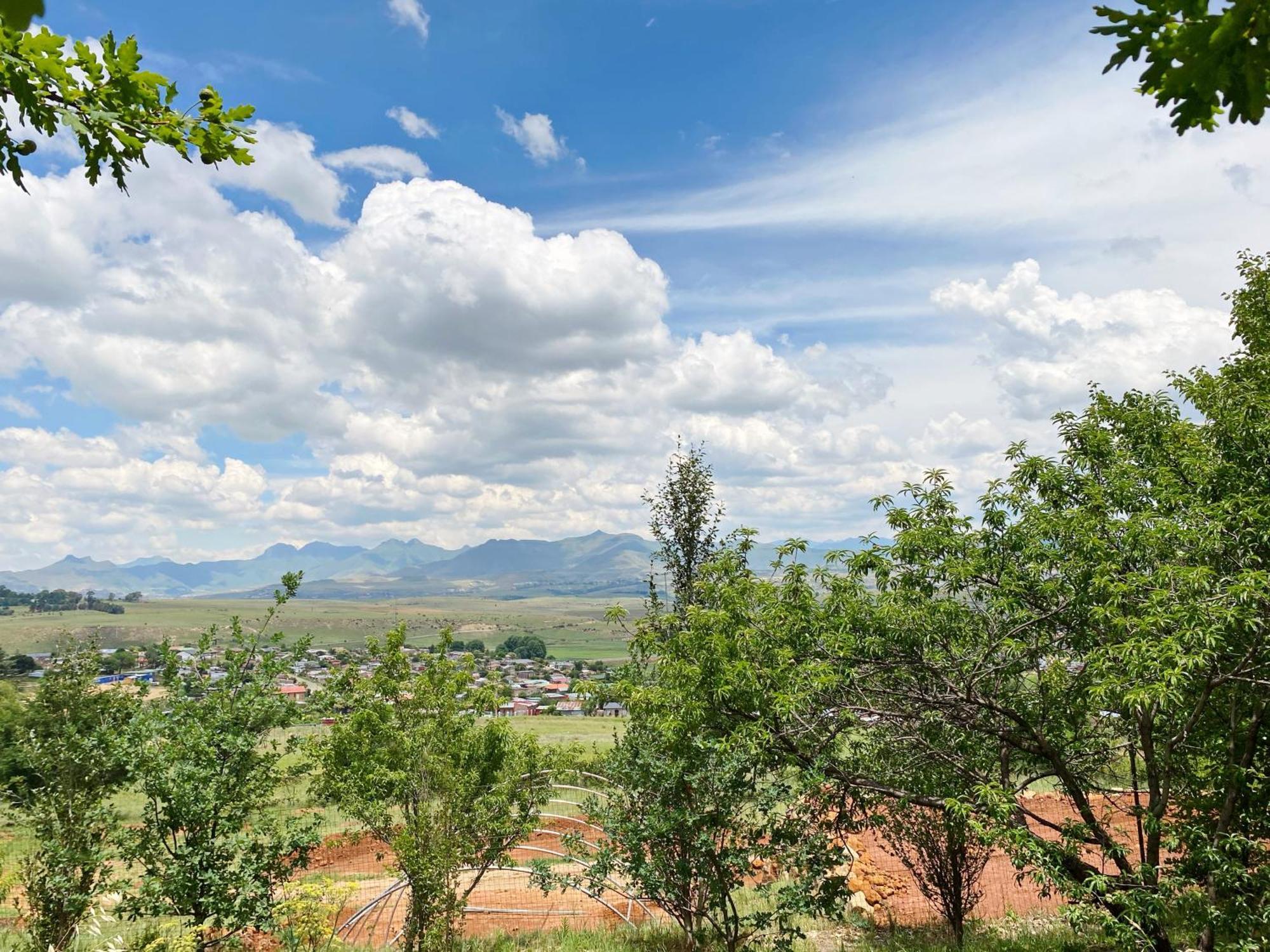 Collett House And Lavender Cottage Clarens Esterno foto