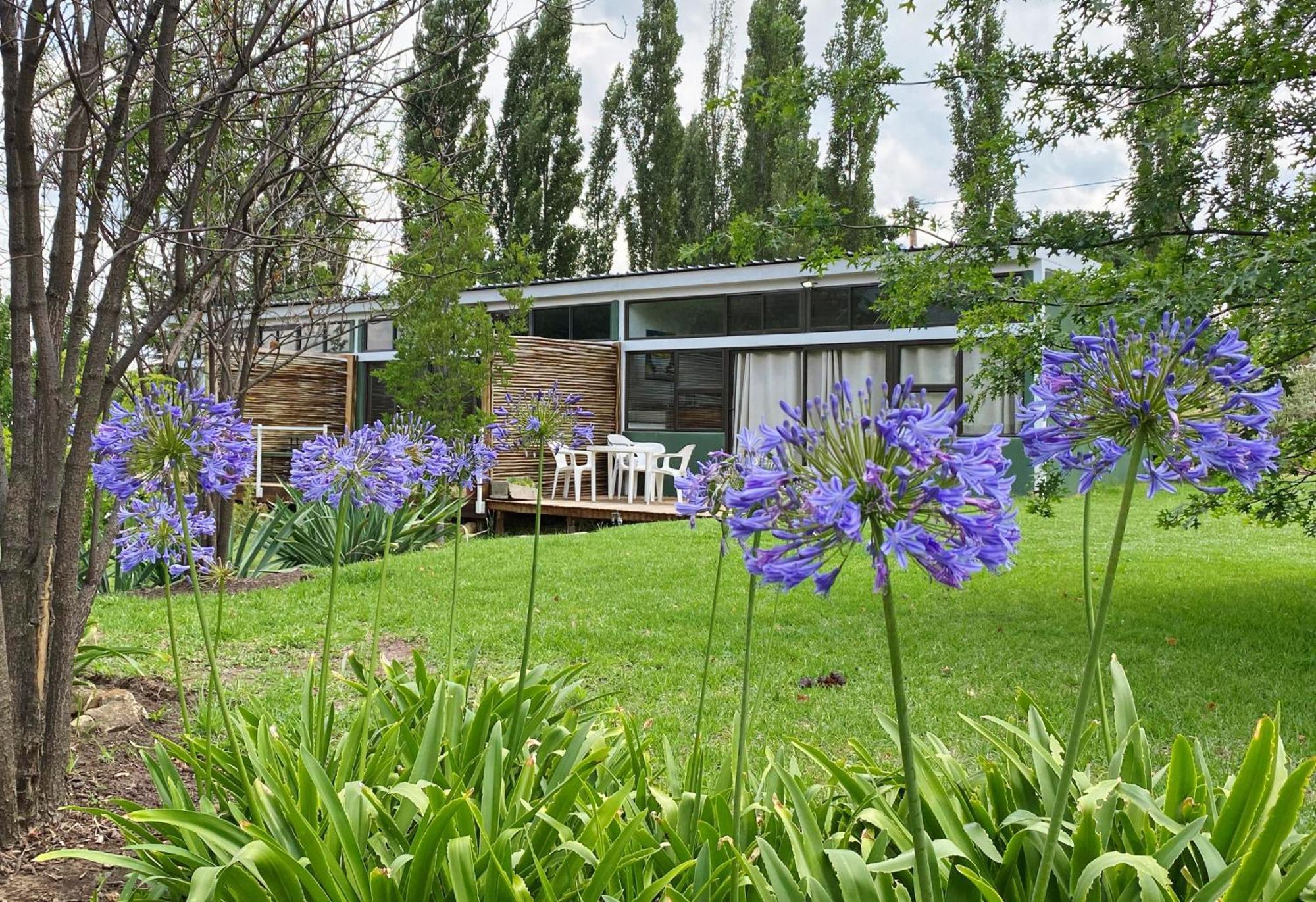 Collett House And Lavender Cottage Clarens Esterno foto